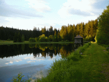 Kleiner Rosehofteich