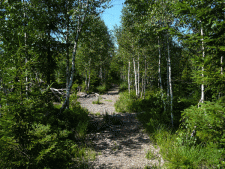 Tannermoor