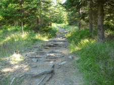 Tannermoor